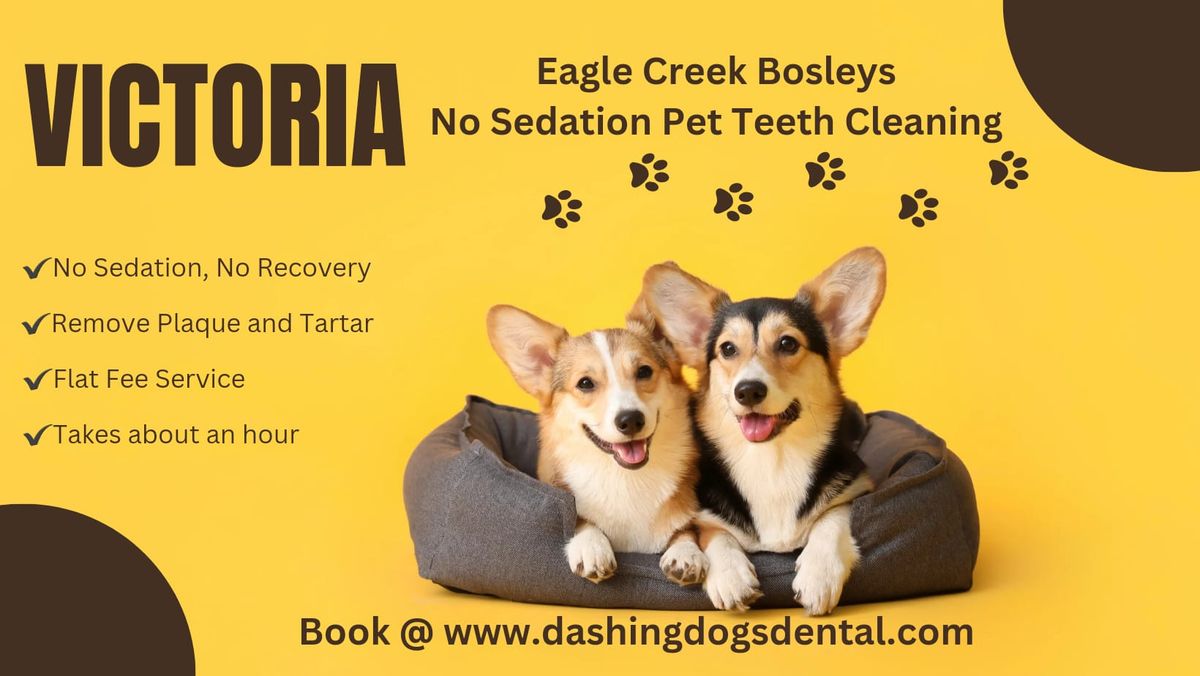 Pet Teeth Cleaning- Victoria