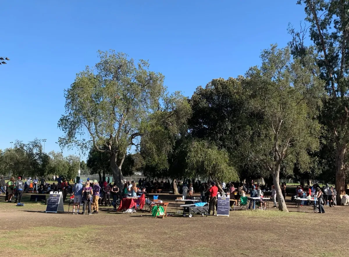 2025 Vegan Picnic Potluck on Thanksgiving Day