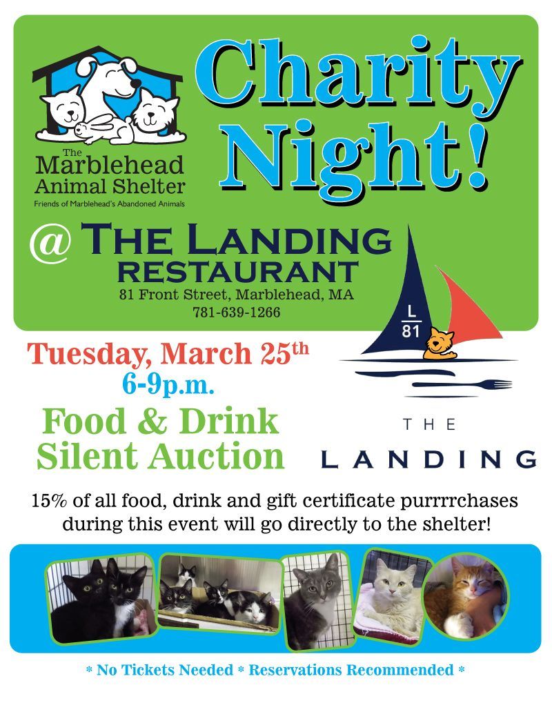 LANDING Charity Dinner