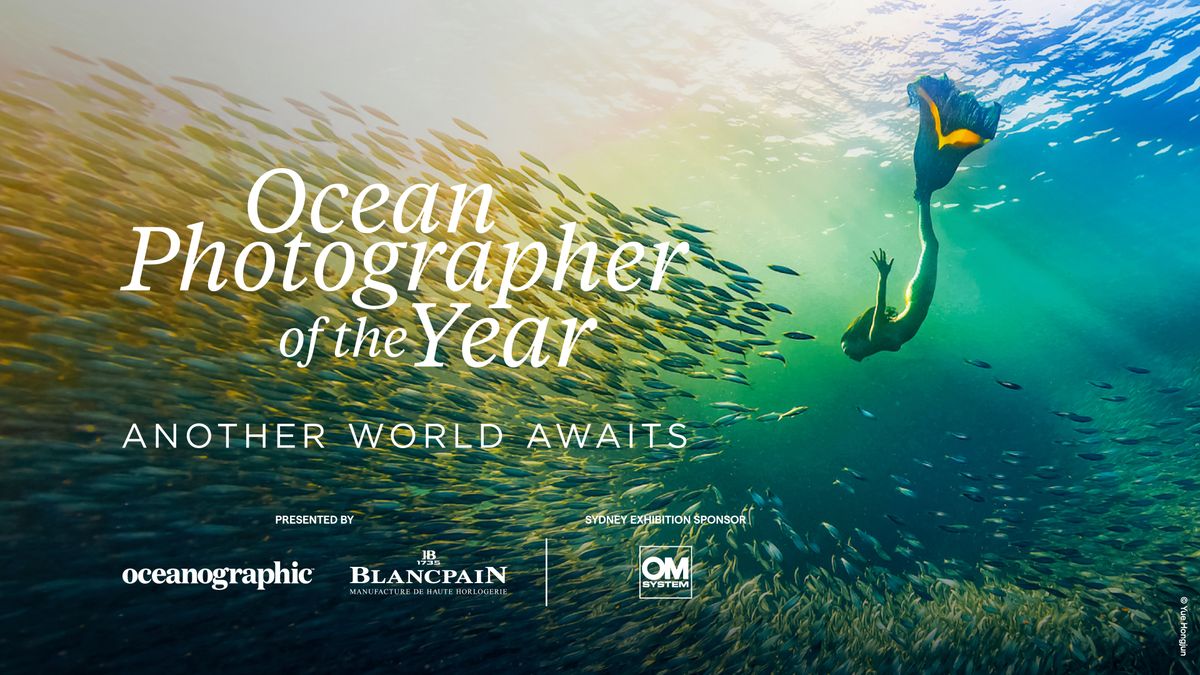 Ocean Photographer of the Year