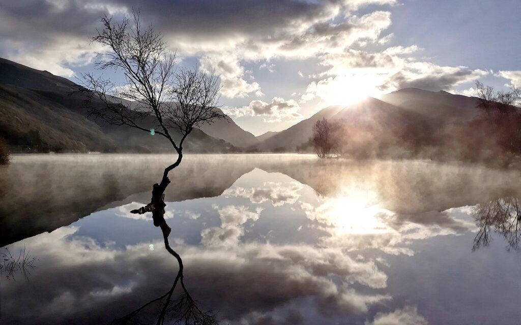 Lake Paddle