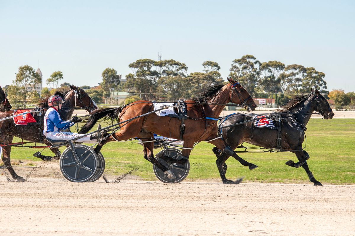 Horsham Race Day