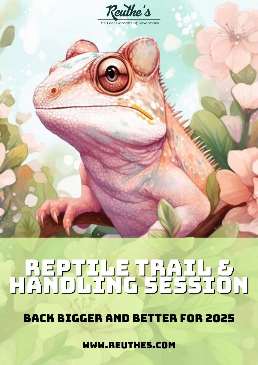 Reptile Trail & Handling Session 