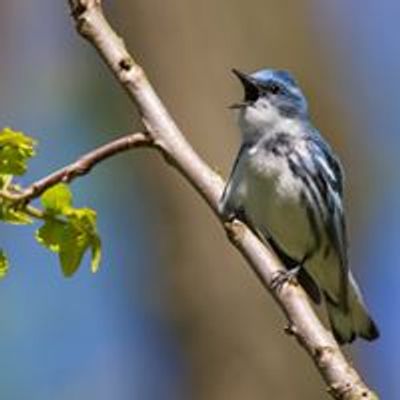 Indiana Young Birders Club