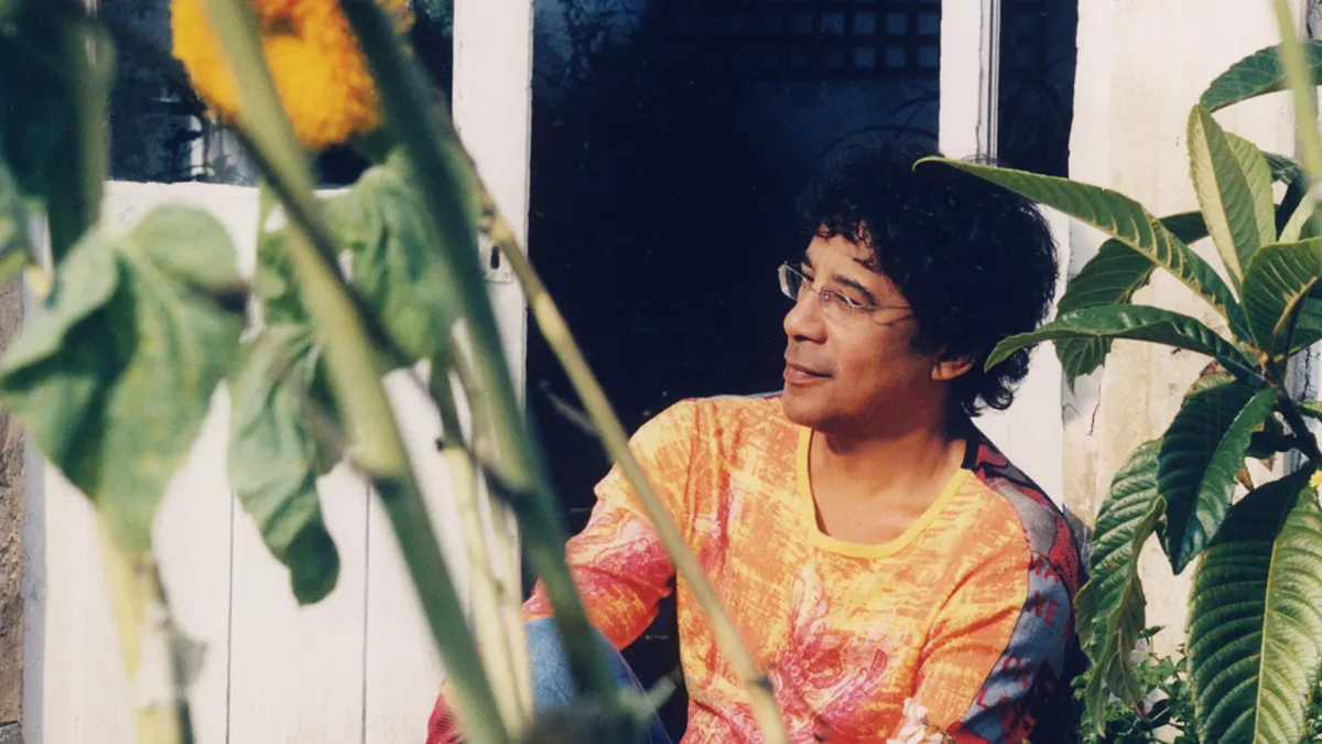 Laurent Voulzy in Reims