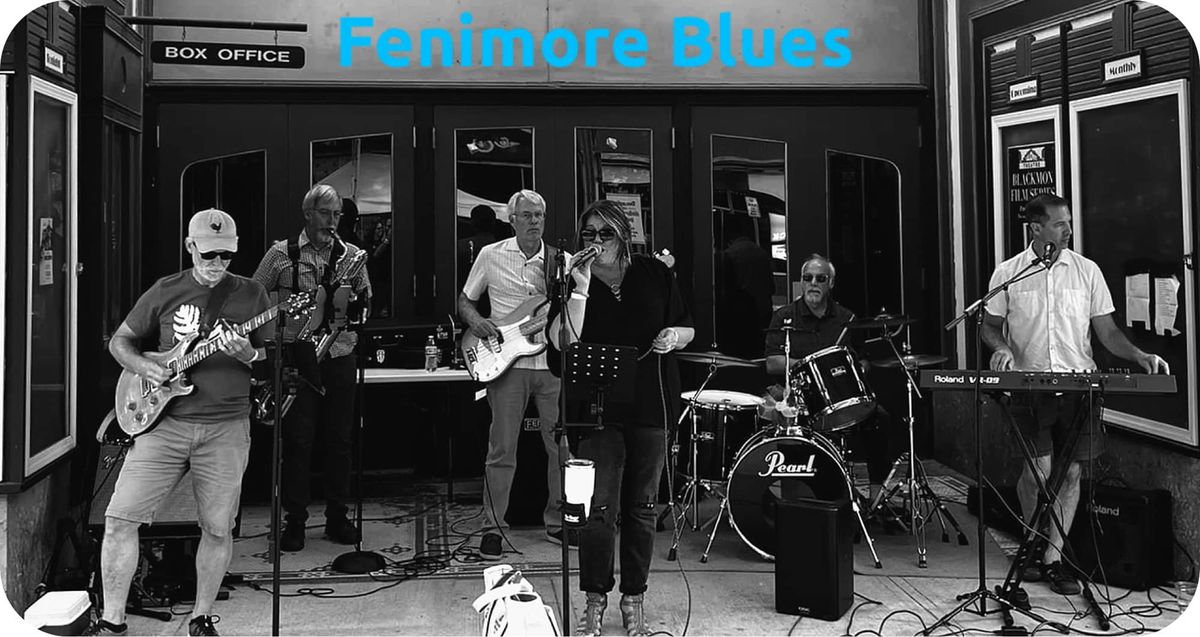 Fenimore Blues at the Summer Concert Series Ballston Spa, NY at the Old Iron Spring Park