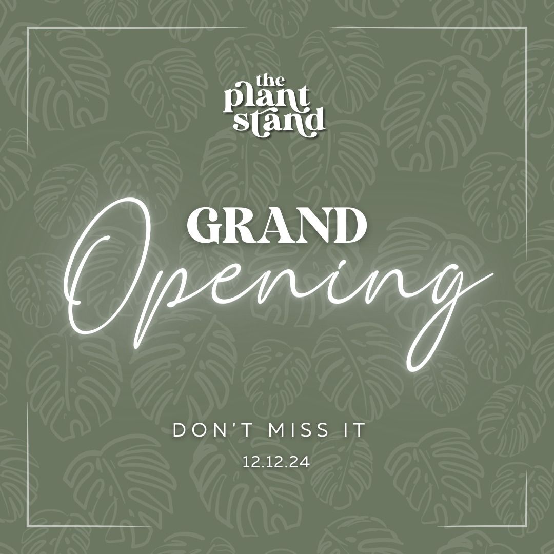 Grand Opening: The Plant Stand Studio