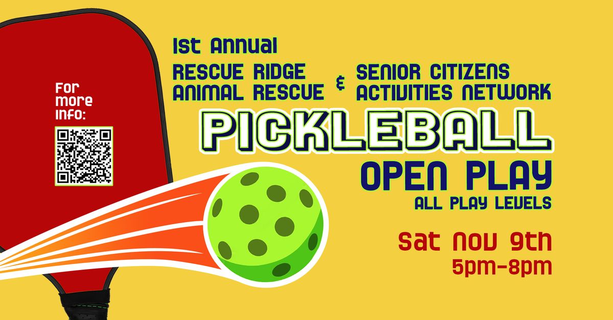 Pickleball Open Play