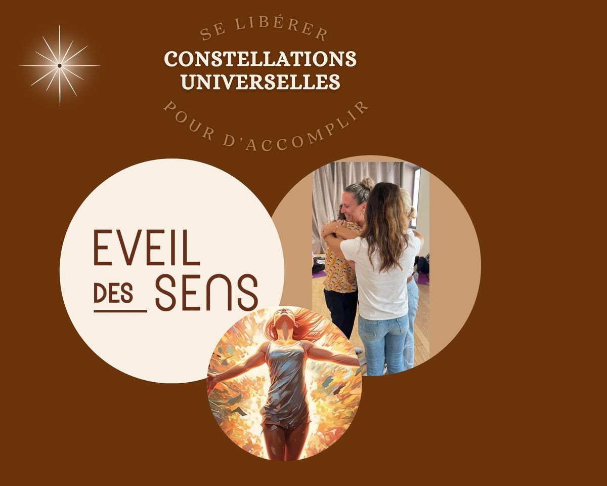 Constellations familiales et universelles en groupe 