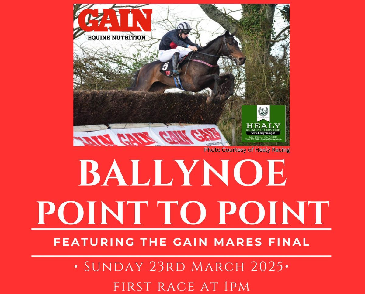 Ballynoe Point to Points - Gain Mares Final