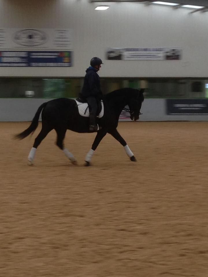 Clinic at Myerscough