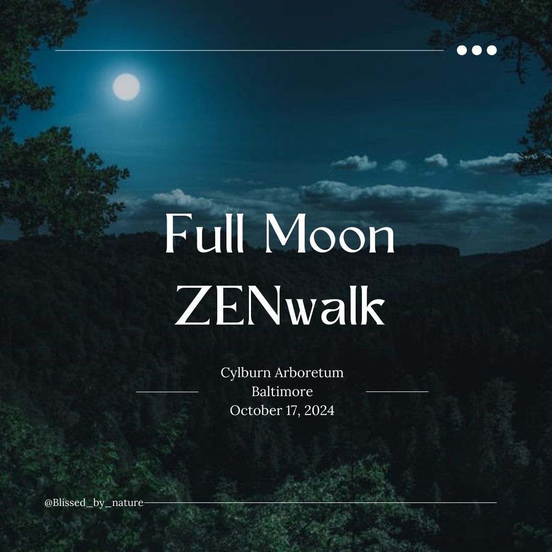 Full Moon ZENwalk Cylburn Arboretum