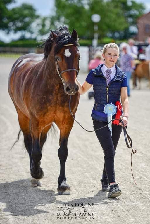 Northern WPCA Bronze Medal Show   