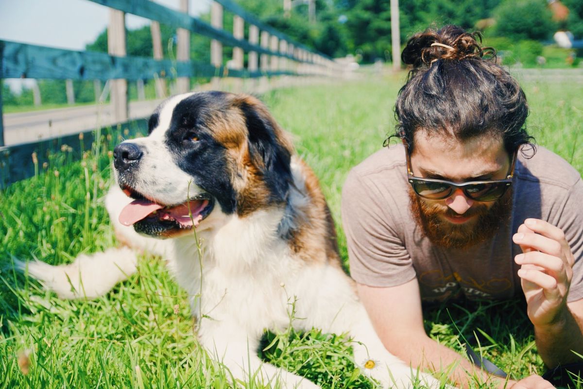 Dog Training at Monroeville Community Park