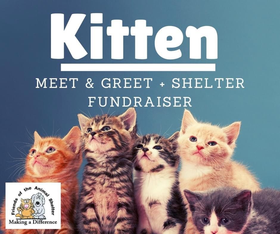 Animal Shelter Fundraiser & Kitten Snuggle Event