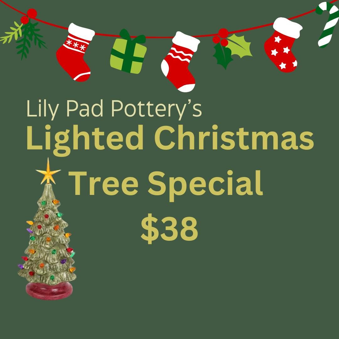 Lighted Christmas Tree Special - $38