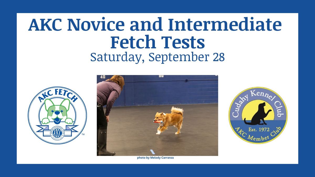 AKC Novice and Intermediate Fetch Tests