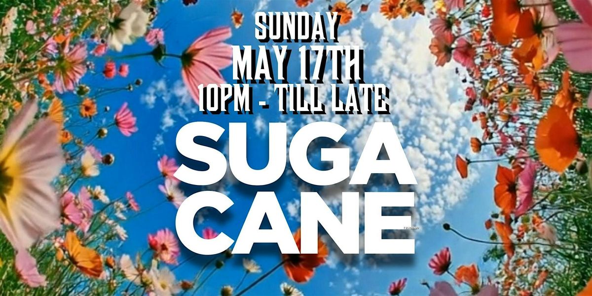 SUGA CANE