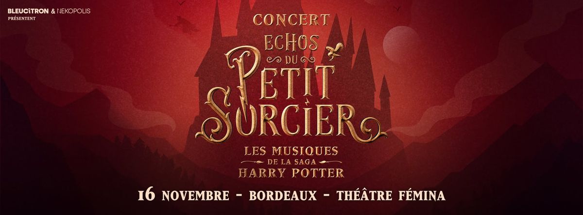 Echos du Petit Sorcier - Concert Harry Potter @BORDEAUX, Th\u00e9\u00e2tre F\u00e9mina