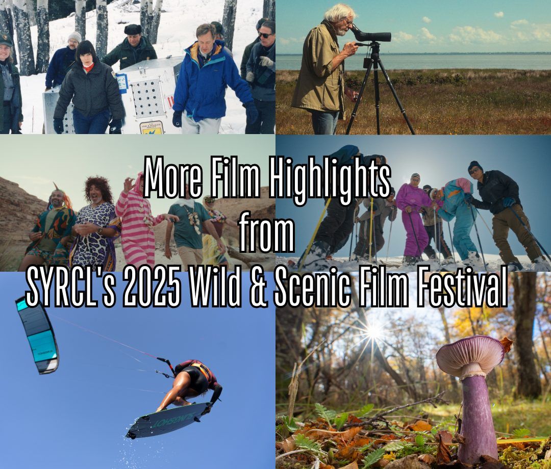 Wild and Scenic Film Festival