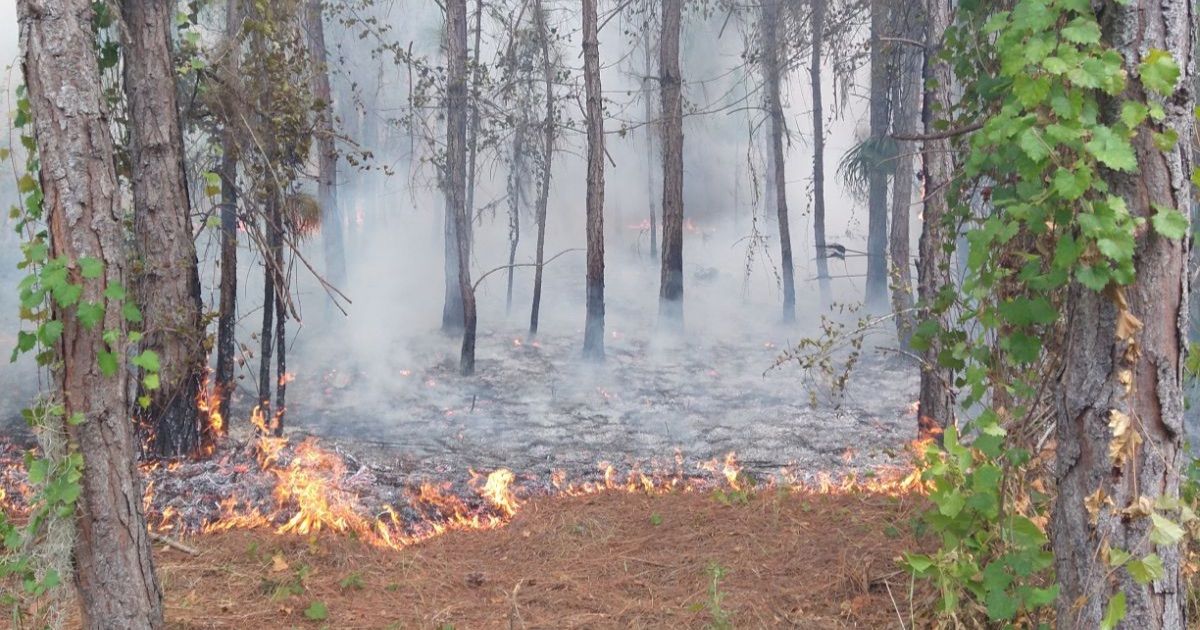 Post-Fire Hikes