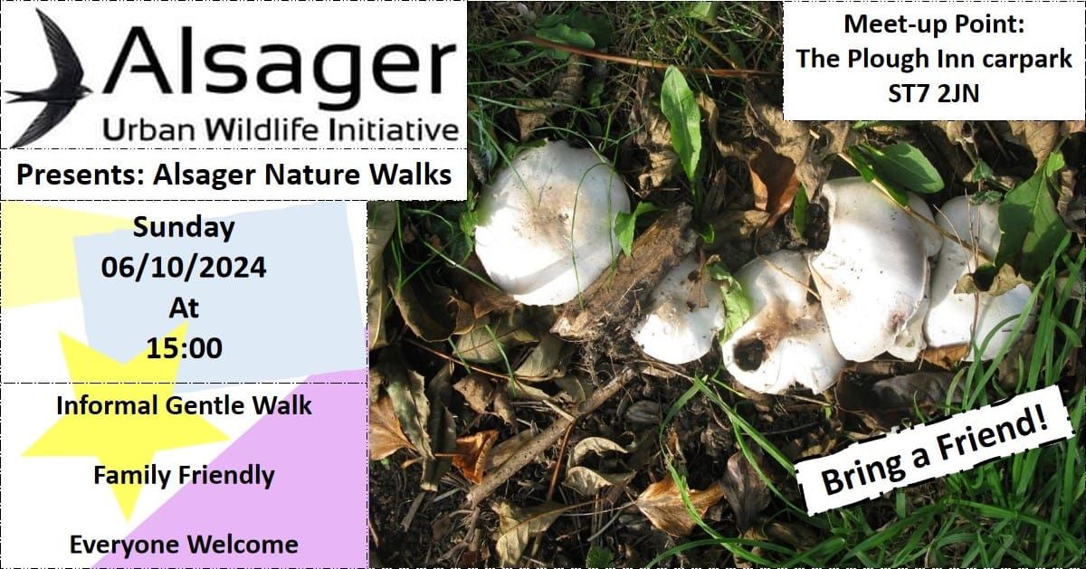 Alsager Nature Walks - August 