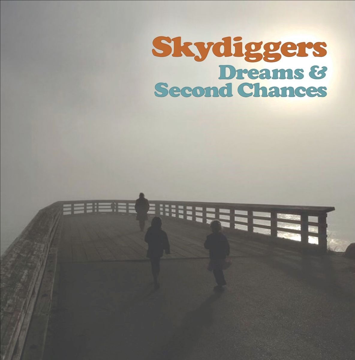 Skydiggers