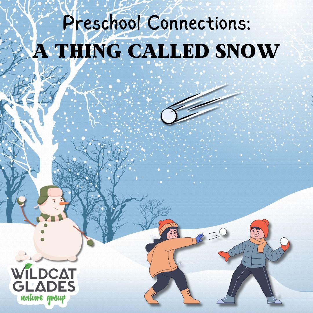 Preschool Connections: A Thing Called Snow