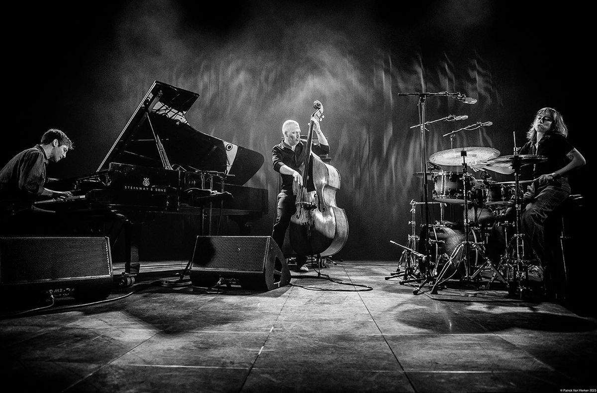 Avishai Cohen Trio at Blue Note Jazz Club