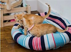 Upcycled Sweater Pet Beds