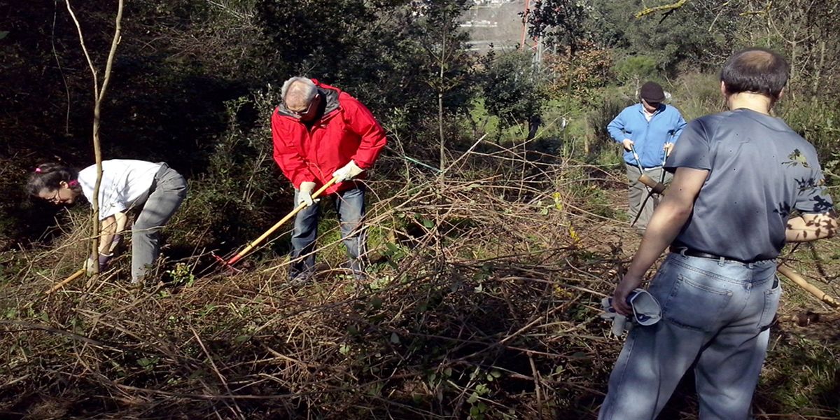 Vols col\u00b7laborar? Control de plantes invasores als voltants del Castell