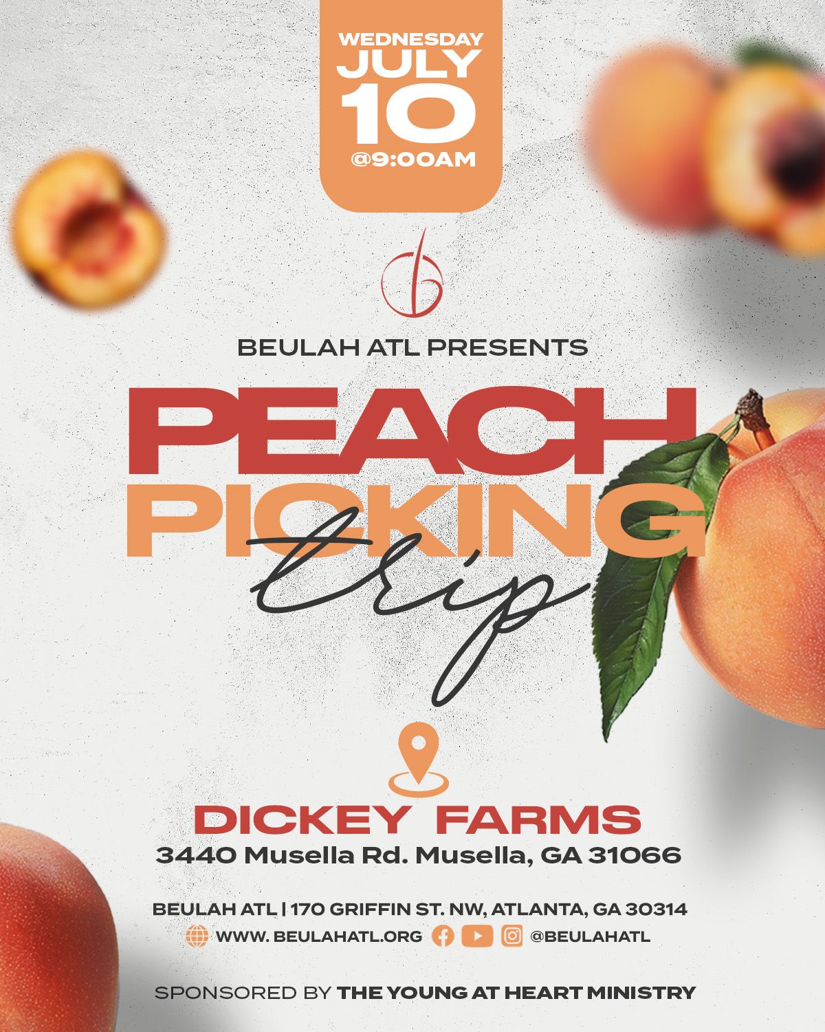 Peach Picking Trip