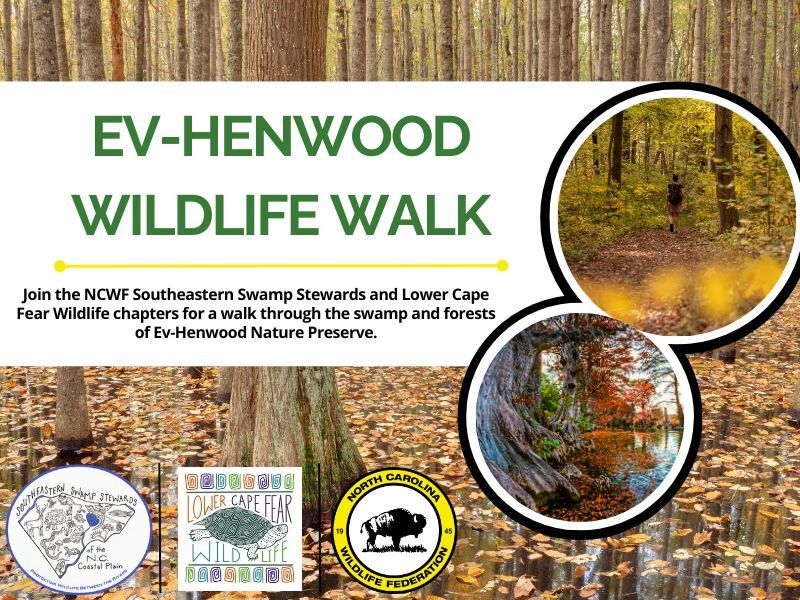 EV-Henwood Wildlife Walk