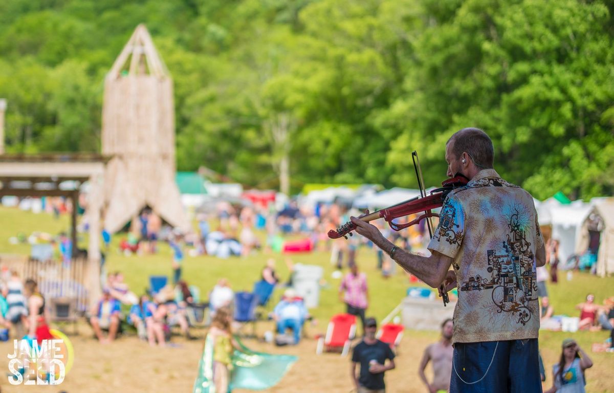 Dixon's Violin live in Ypsilanti \/ Frog Island Amphitheater