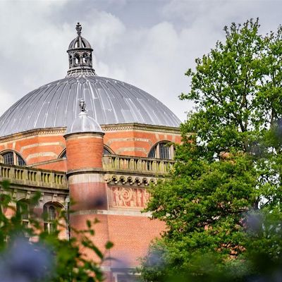 People & Organisational Development (POD)