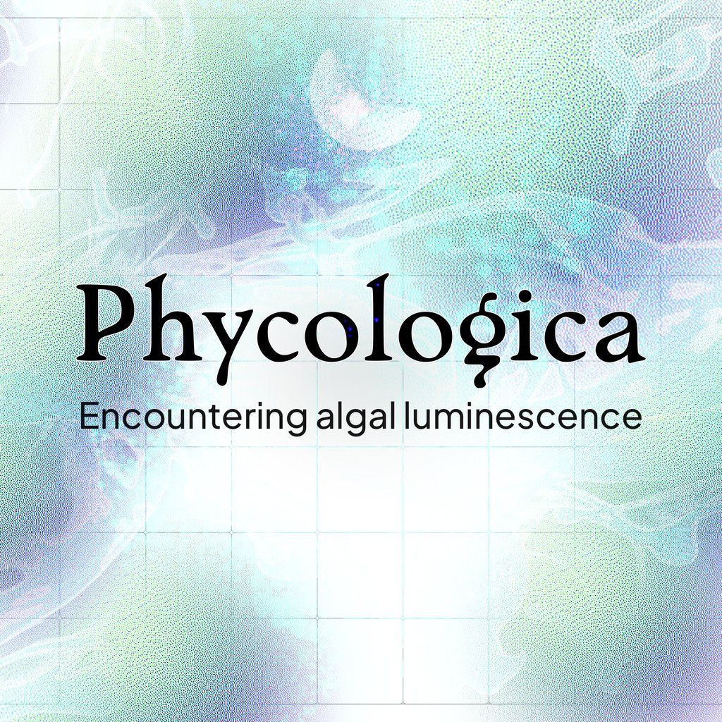 Phycologica: Immersive installation and exhibition