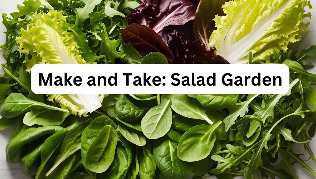 Make and Take: Salad Garden