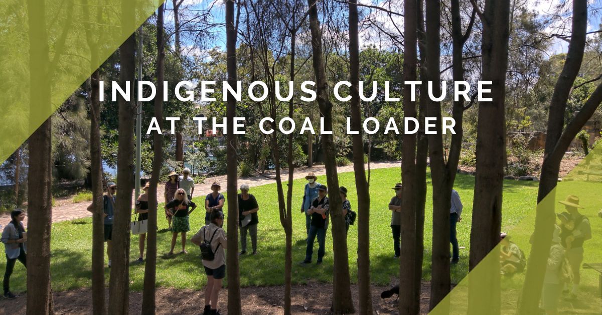 Indigenous Cultural Tour September 2024