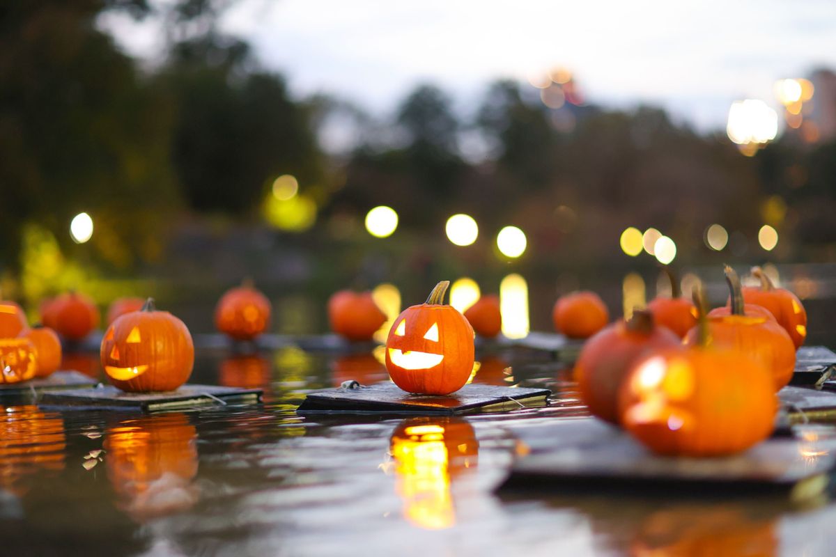 Halloween Pumpkin Flotilla