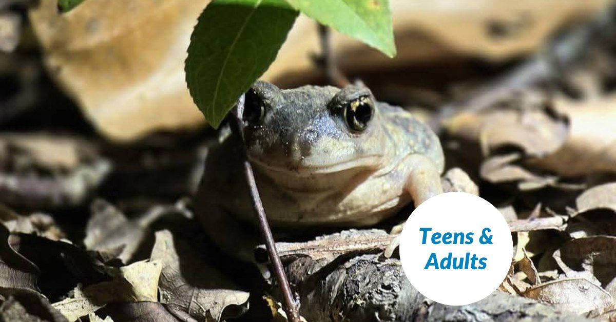 Reptiles and Amphibians of Loudoun County 