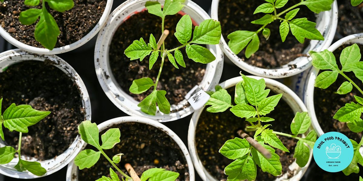 Planting Method And Soil Preparation [Free Workshop]