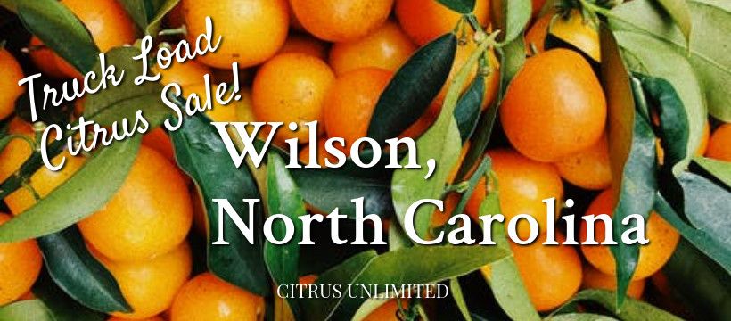 Citrus Sale - Coming to Wilson, NC from 1:30 - 2:30 pm at Hobby Lobby 