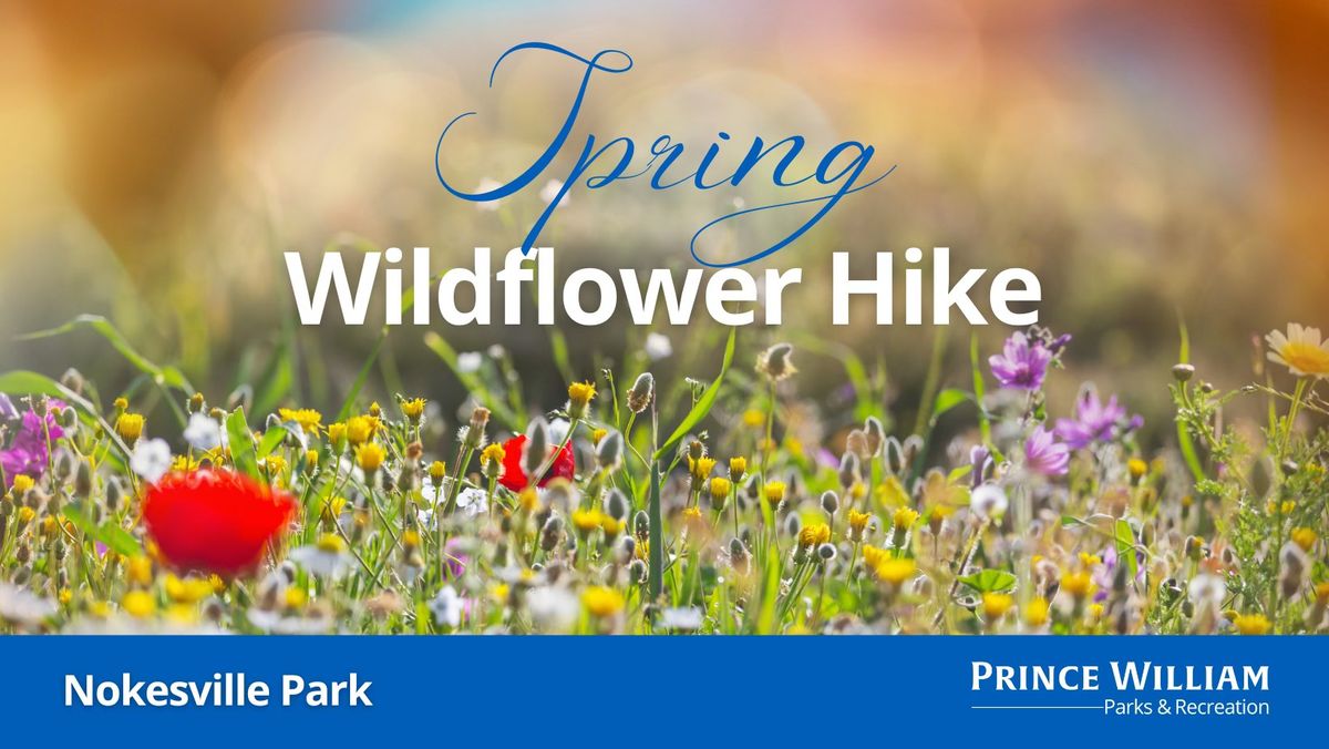 Spring Wildflower Hike