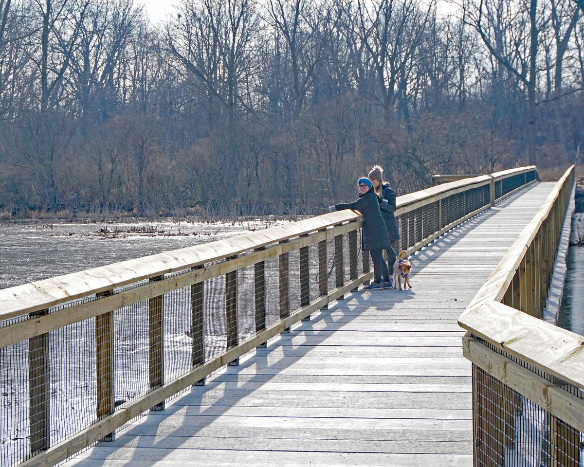 1 Hour Fitness Hike (Ages 16 and up, Dog Friendly)