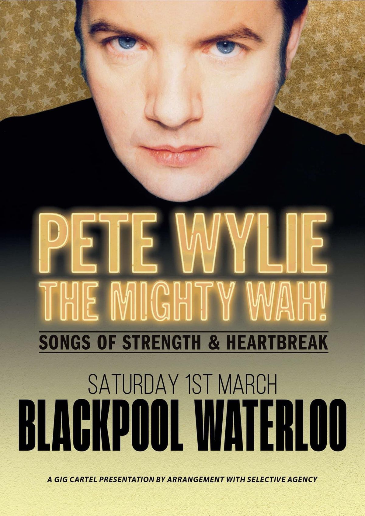 Pete Wylie The Mighty Wah!