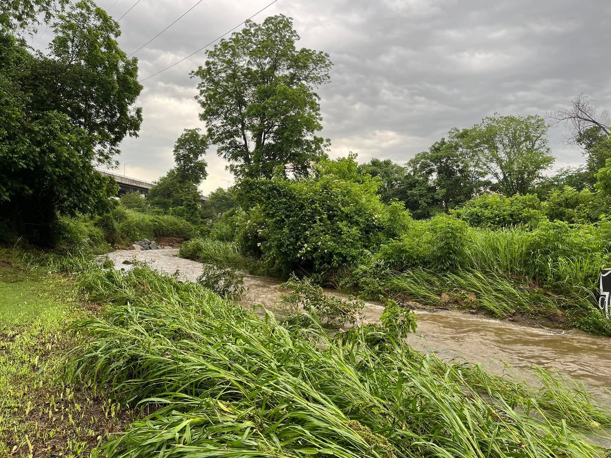 Rose Creek Clean Up 2025 (Keep LR Beautiful)