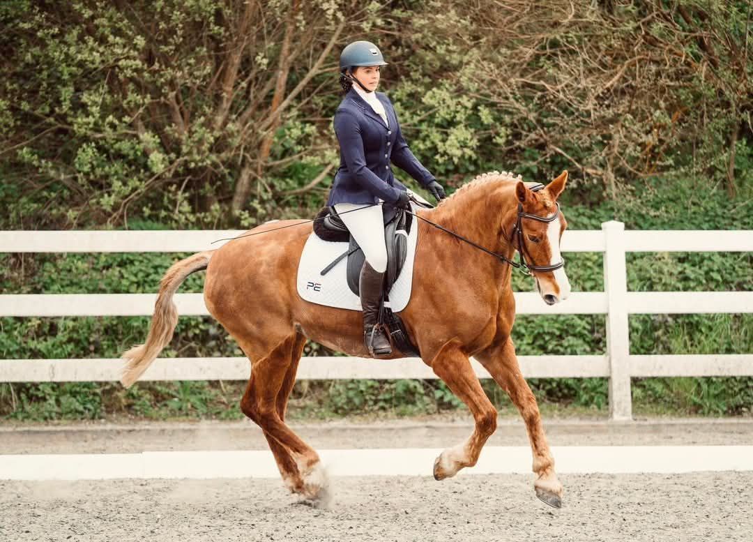 Cornwall Trec Group Evening Dressage 