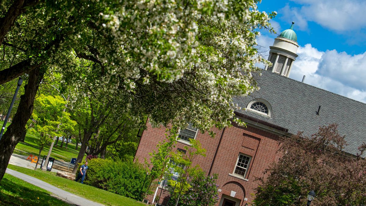 Parking cOsmO - Princeton