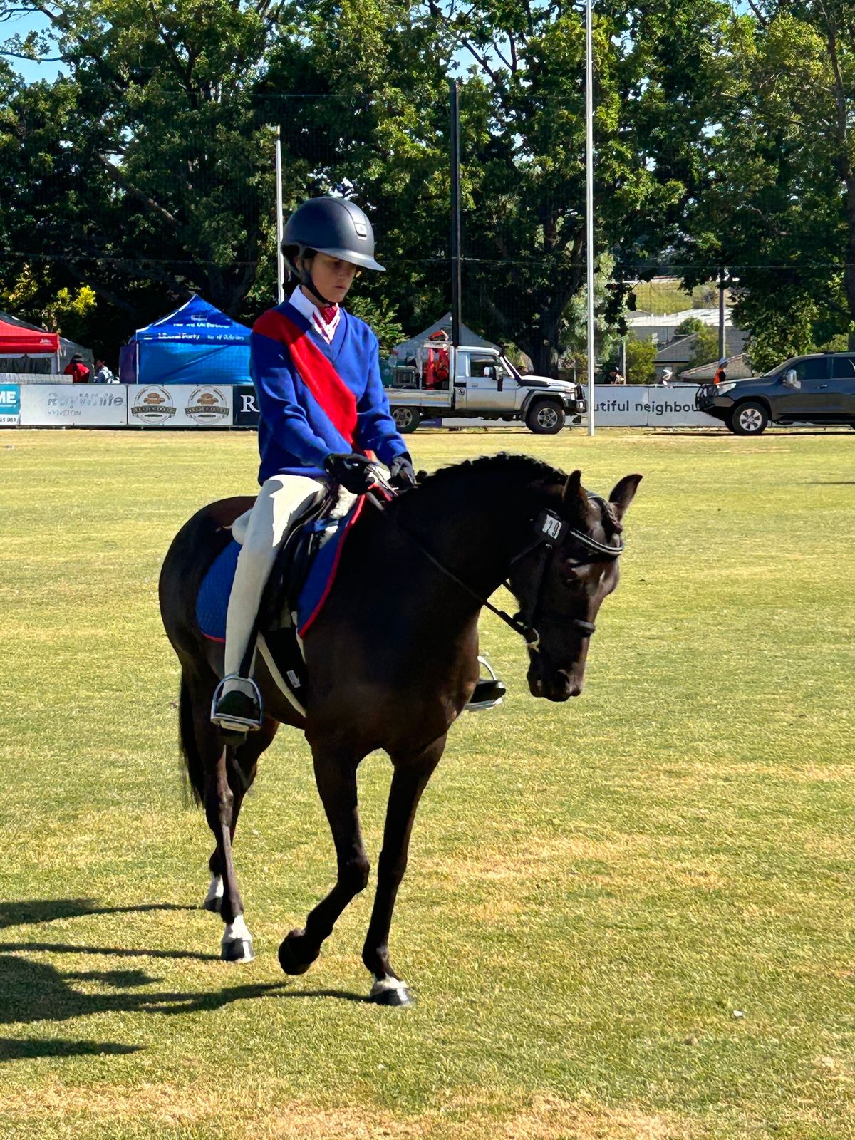 BPC Pony Club & Open Dressage Day