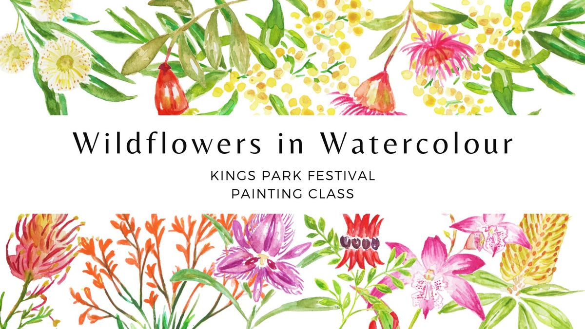 Wildflowers in Watercolour - Kings Park